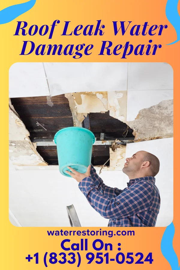 Roof Leak Water Damage Repair in Tightwad, MO