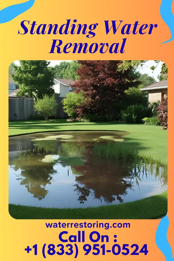Standing Water Removal in Tightwad, MO